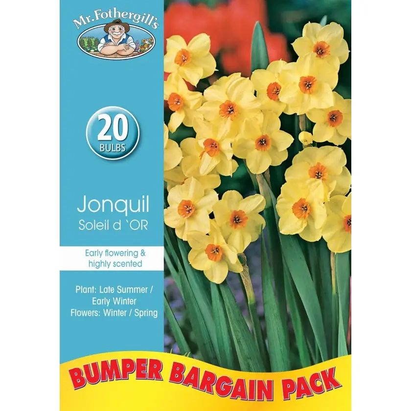 Mr Fothergill’s Bulbs Jonquil Soleil D'Or 20Pk