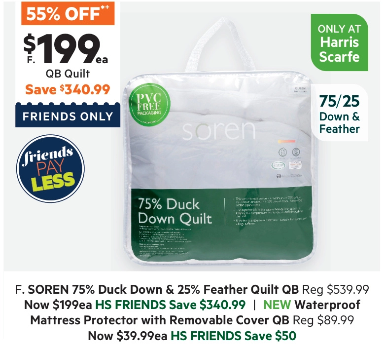 Soren 75/25 Duck Feather & Down Quilt White Queen