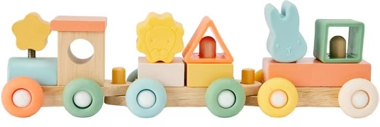 Wooden Silicone Shape Sorter Train