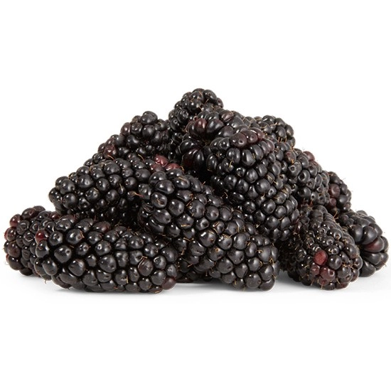 Australian Blackberries 125g Punnet