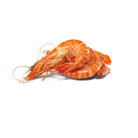 Thawed Extra Large Cooked Australian Tiger Prawns