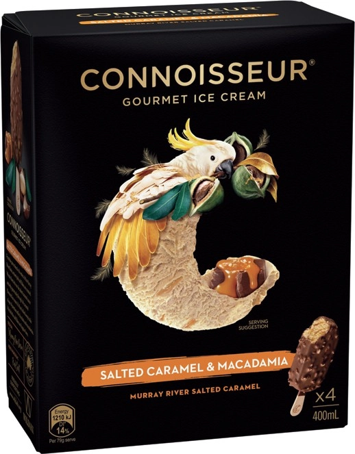 Connoisseur Gourmet Ice Cream 4-6 Pack Selected Varieties