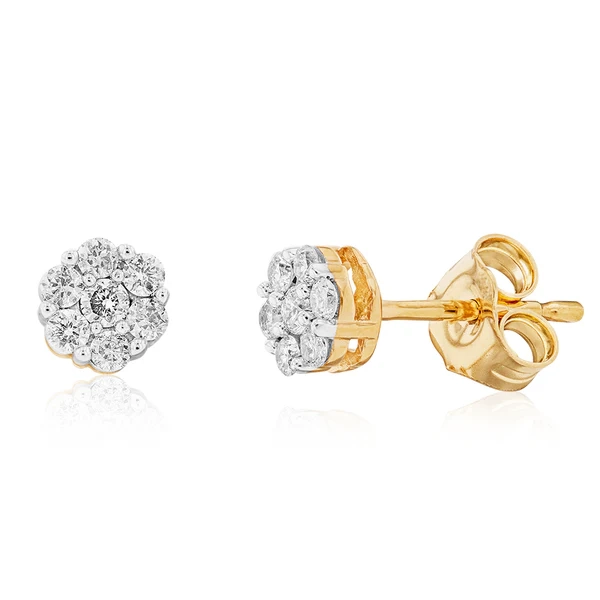 9ct Yellow Gold 1/4 Carat Diamond Stud Earrings – Shiels Jewellers