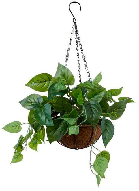 30% off Ivy Hanging Pot with Palm Pot, Green 15 x 19.5cm