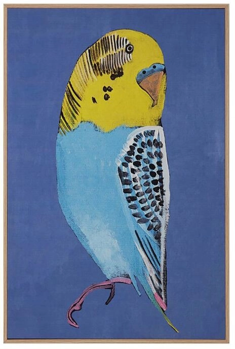 30% off NEW Warlukurlangu Budgie Canvas