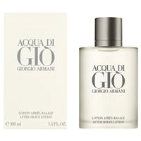 Giorgio Armani Acqua Di Gio 100ml edt