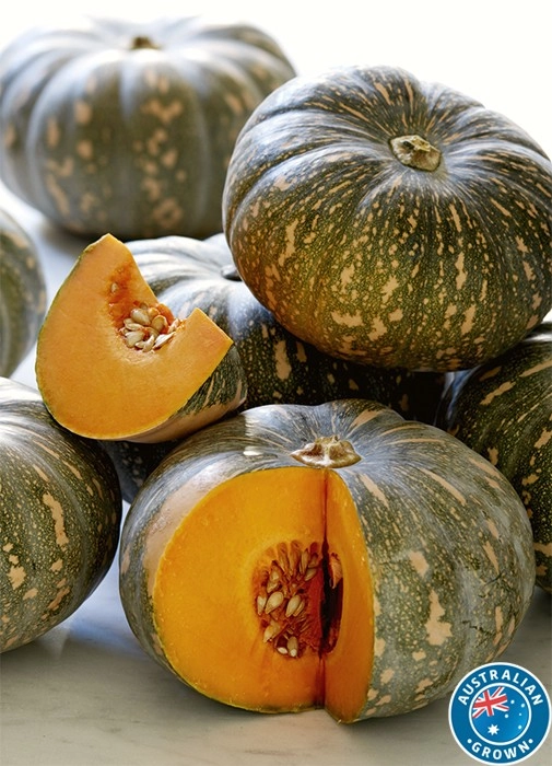 Australian Kent Pumpkin