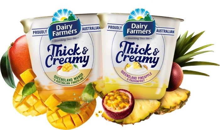 Dairy Farmers Thick & Creamy Yoghurt 140g-150g