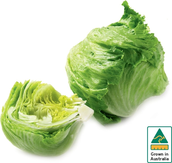 Australian Iceberg Lettuce