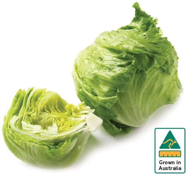 Australian Iceberg Lettuce