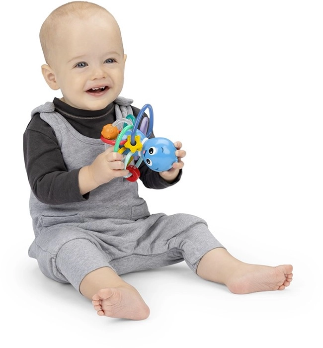 Baby Einstein Opus’s Shake & Soothe Teether Toy