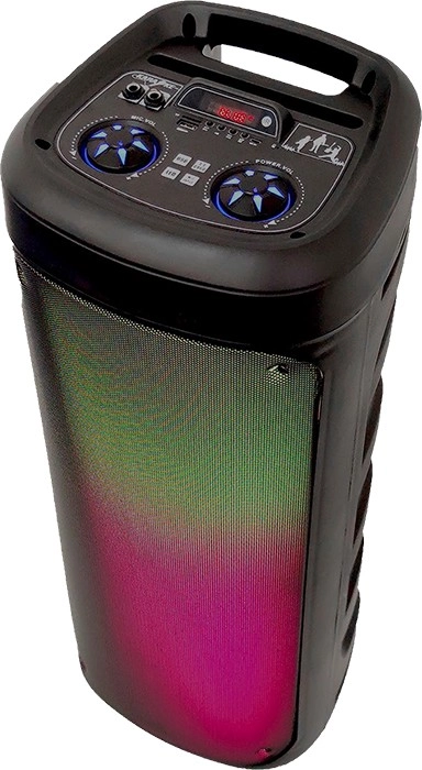 EKO Party Speaker with LED Lights and Wired Microphone