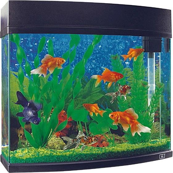 Marine Master VitaPet EziStart Panorama Tank 20-Litre