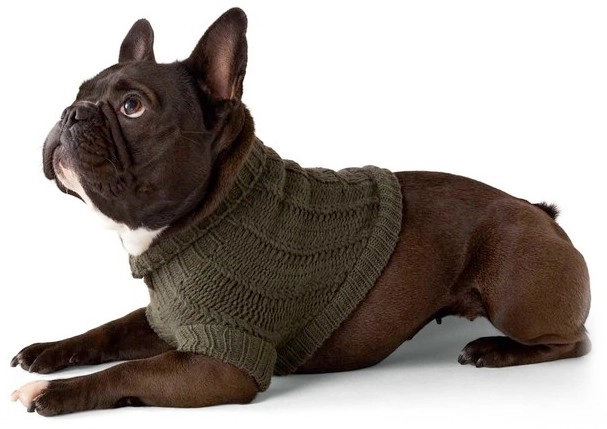 NEW Perfect Pet Dog Jumper Knit Olive 20cm