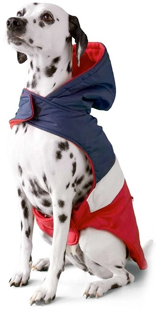 NEW Perfect Pet Navy and Red Jacket 50cm