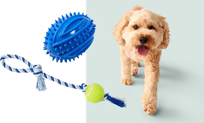 Tails Assorted Ball Dog Toys