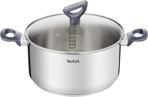 Tefal Daily Cook Induction Stainless Steel Stewpot 24cm 5-Litre