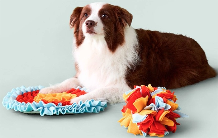 Zip n Zoom Dog Toys