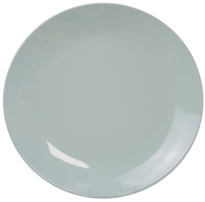 Brampton House Metro Loose Dinner Plate