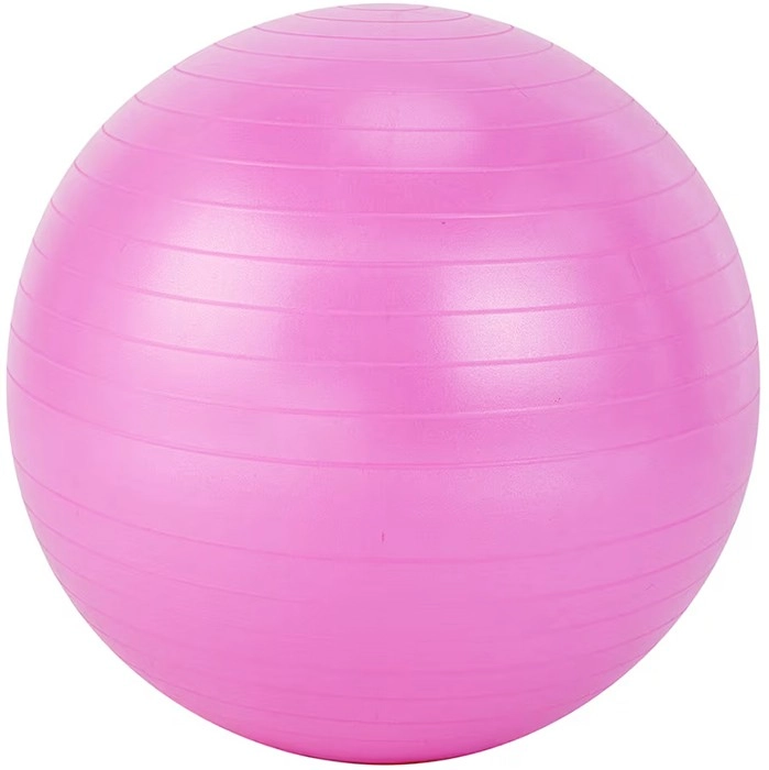 55cm Gym Ball