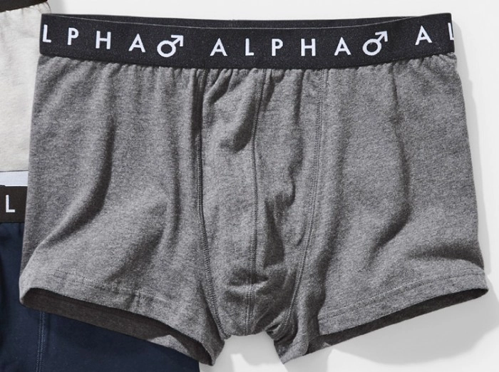 Alpha Trunk - Grey