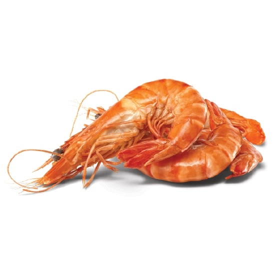 Thawed Extra Large Cooked Australian Tiger Prawns