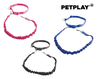 Extra Small or Small Dog Harness, Activity Lead or Rope Lead