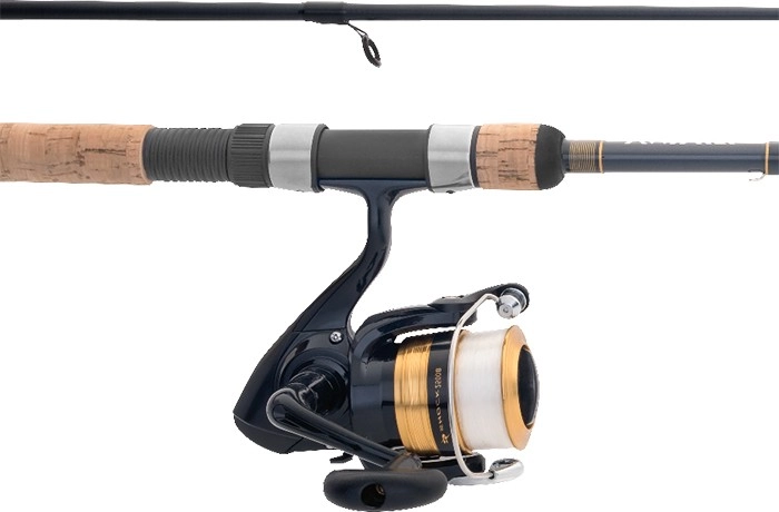 Daiwa D-Shock Spin Combo