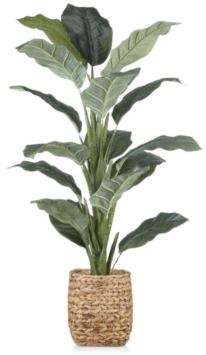 30% off NEW Bouclair Large Potted Plant