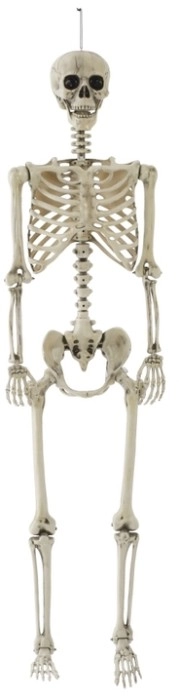 Spooky Hollow Life Size Skeleton