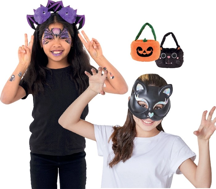 Spooky Hollow Cats, Bats & Pumpkins Accessories