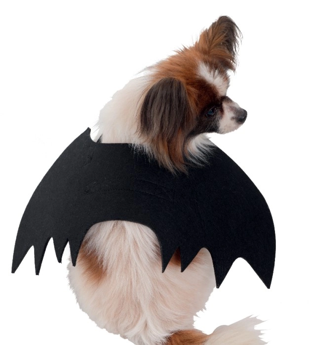 Spooky Hollow Pet Costume Bat Wings