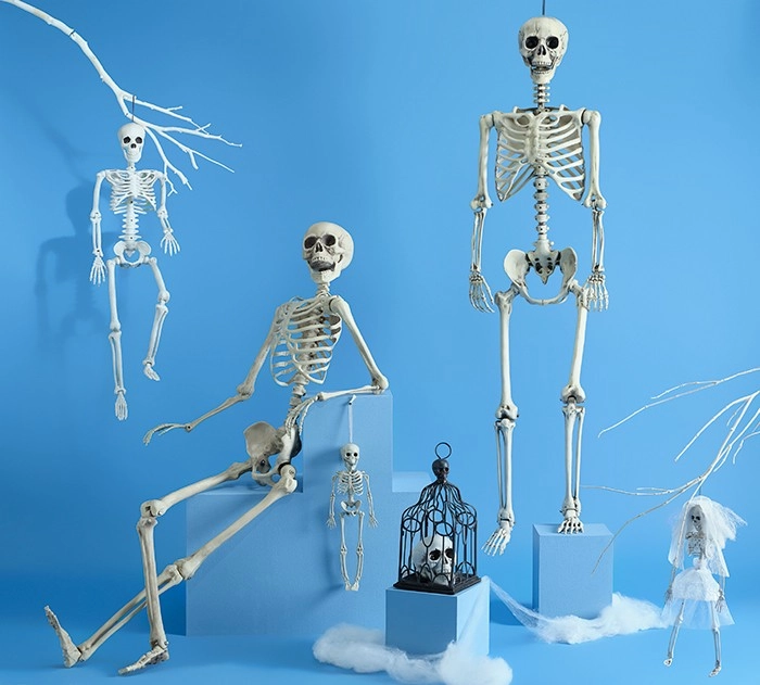 Spooky Hollow Skeletons Bodies