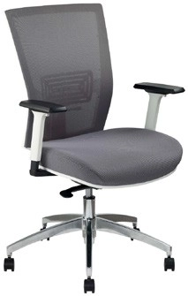 Pago Radar Ergonomic Chair - Ash Grey