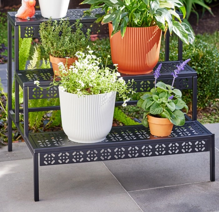 Marketlane Decorative Straight Design Flower Step