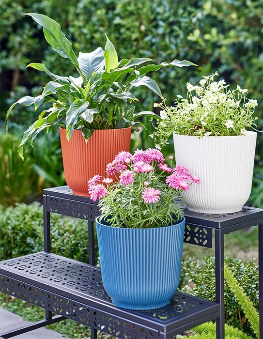 Marketlane Planter Pots