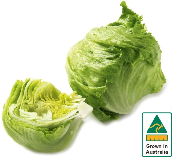 Australian Iceberg Lettuce