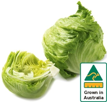 Australian Iceberg Lettuce