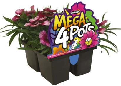 Mega 4 Pots