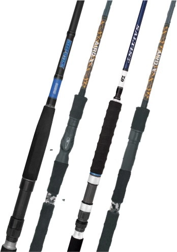 15% off Regular Price on Beefstick, Aird X & Saltist Hyper Rods by Daiwa