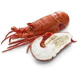 Woolworths Cooked Thawed Small Rock Lobster Each