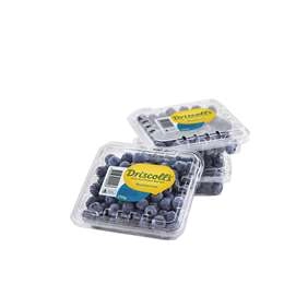  Blueberries  170g Punnet