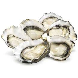 Woolworths Fresh Pacific Oysters 1 Dozen