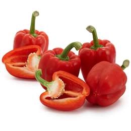 Red Capsicum  Each