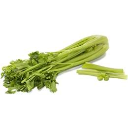 Wow Celery Fresh  Bunch