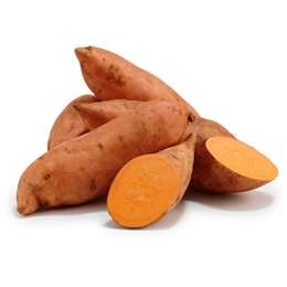  Sweet Potato Gold  Each