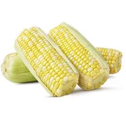  Corn Sweet Polka Dot  500g Punnet