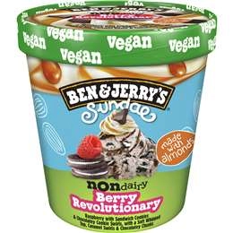 Ben & Jerry's Berry Revolution Non Dairy Frozen Dessert 427ml