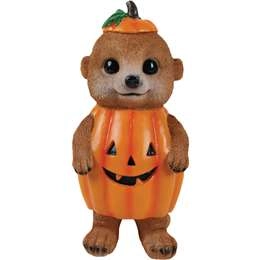 Mirabella Pumpkin Meerkat  Each