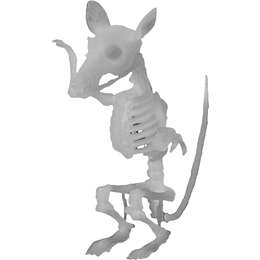 Mirabella Skeleton Rat Glow In The Dark  Each